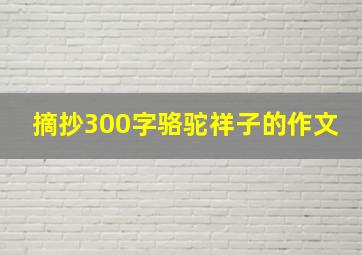 摘抄300字骆驼祥子的作文