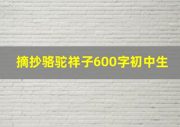 摘抄骆驼祥子600字初中生