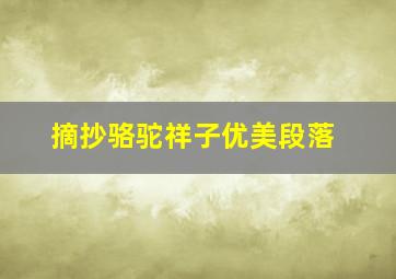 摘抄骆驼祥子优美段落