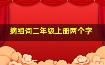 摘组词二年级上册两个字