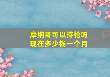 摩纳哥可以持枪吗现在多少钱一个月