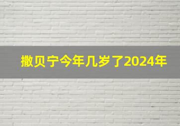 撒贝宁今年几岁了2024年