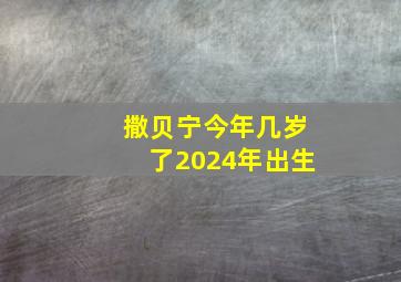 撒贝宁今年几岁了2024年出生