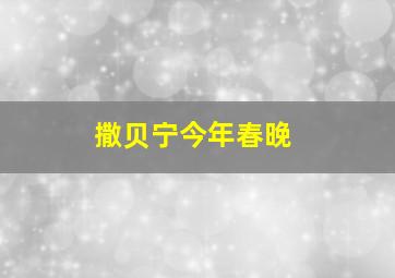 撒贝宁今年春晚