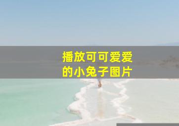 播放可可爱爱的小兔子图片