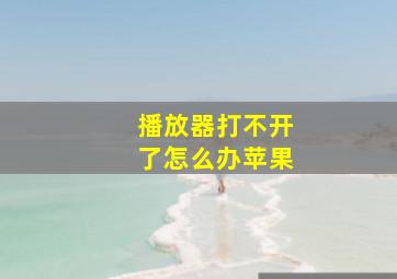 播放器打不开了怎么办苹果