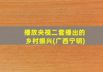 播放央视二套播出的乡村振兴(广西宁明)