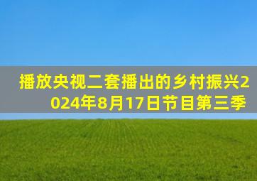 播放央视二套播出的乡村振兴2024年8月17日节目第三季