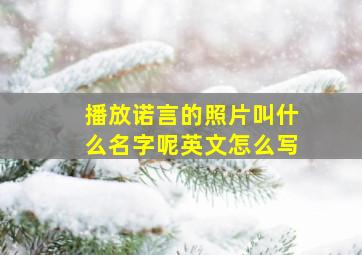 播放诺言的照片叫什么名字呢英文怎么写