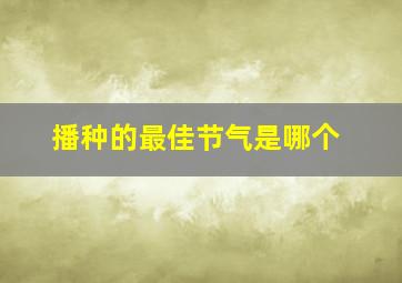 播种的最佳节气是哪个