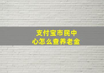 支付宝市民中心怎么查养老金