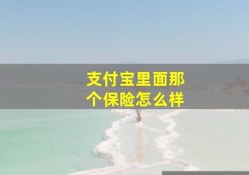 支付宝里面那个保险怎么样