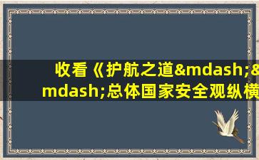 收看《护航之道——总体国家安全观纵横》