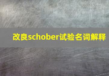 改良schober试验名词解释