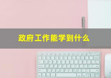 政府工作能学到什么