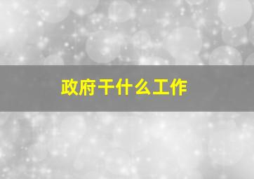 政府干什么工作