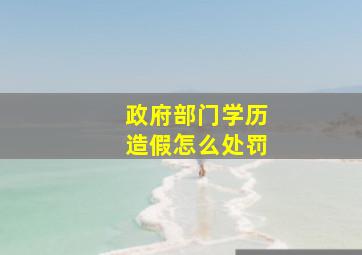 政府部门学历造假怎么处罚