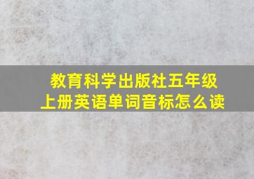 教育科学出版社五年级上册英语单词音标怎么读