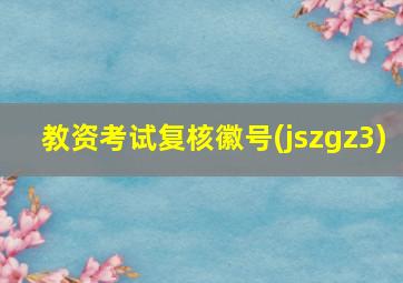 教资考试复核徽号(jszgz3)