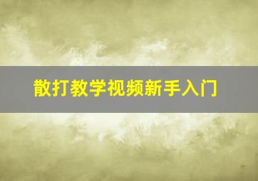 散打教学视频新手入门