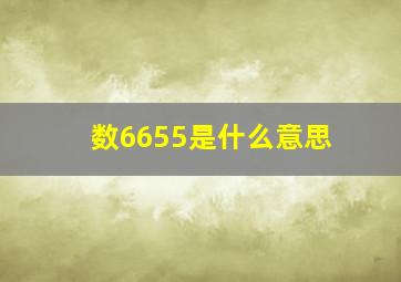 数6655是什么意思