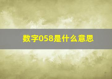 数字058是什么意思