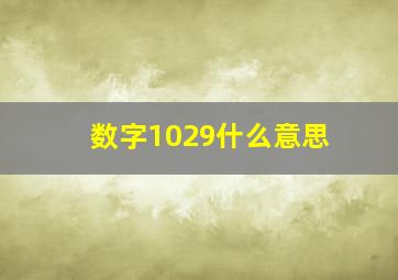 数字1029什么意思