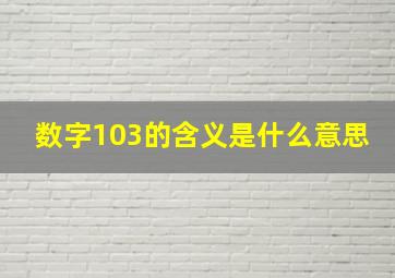 数字103的含义是什么意思