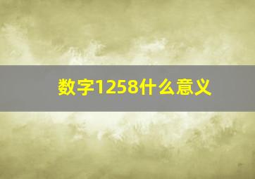 数字1258什么意义