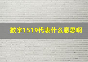 数字1519代表什么意思啊