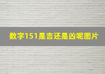 数字151是吉还是凶呢图片