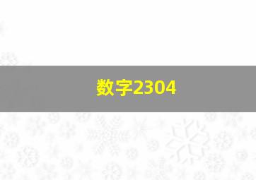 数字2304