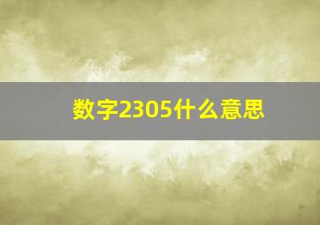 数字2305什么意思