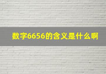 数字6656的含义是什么啊