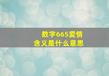 数字665爱情含义是什么意思