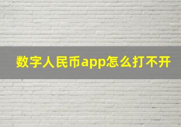 数字人民币app怎么打不开