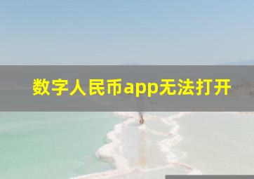 数字人民币app无法打开