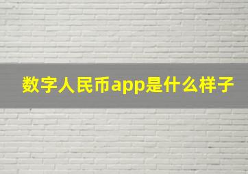 数字人民币app是什么样子