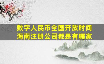 数字人民币全国开放时间海南注册公司都是有哪家