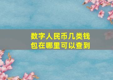 数字人民币几类钱包在哪里可以查到