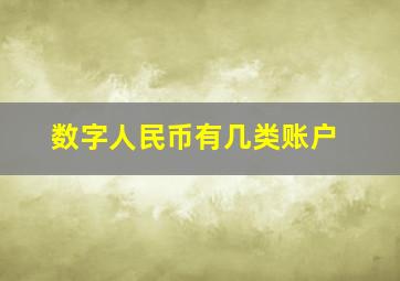 数字人民币有几类账户