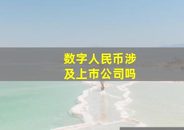 数字人民币涉及上市公司吗