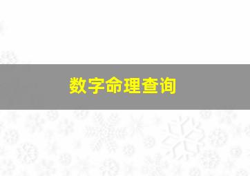 数字命理查询