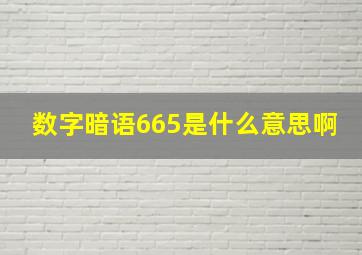 数字暗语665是什么意思啊