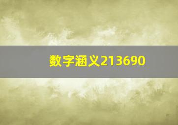 数字涵义213690