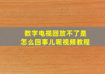 数字电视回放不了是怎么回事儿呢视频教程