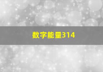 数字能量314