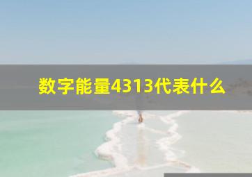 数字能量4313代表什么