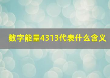 数字能量4313代表什么含义