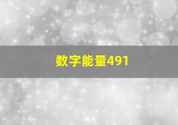 数字能量491